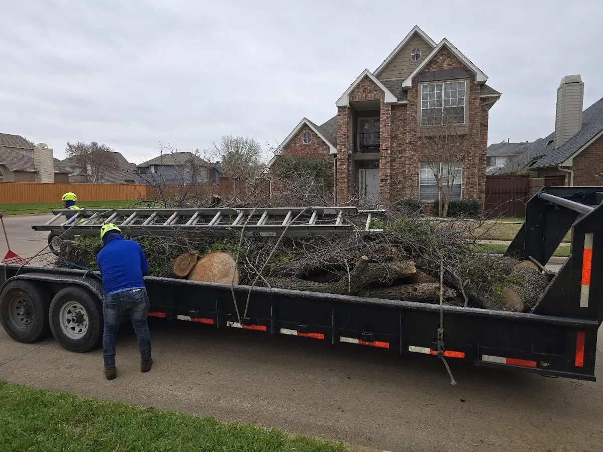 Expert Tree Fertilization with proper safety equipment in Agenda